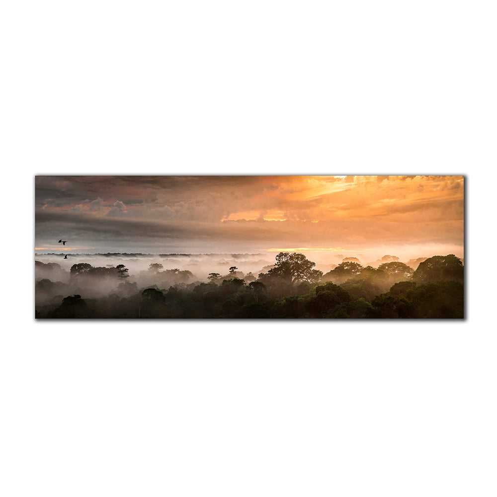 Amazonía Alta - Imágenes de la Naturaleza en Alta Resolución - Papel Fotográfico Importado – Cuadro con Bastidor Listo para Colgar