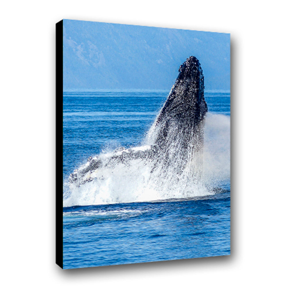 Ballena - Imágenes de la Naturaleza en Alta Resolución - Papel Fotográfico Importado – Cuadro con Bastidor Listo para Colgar