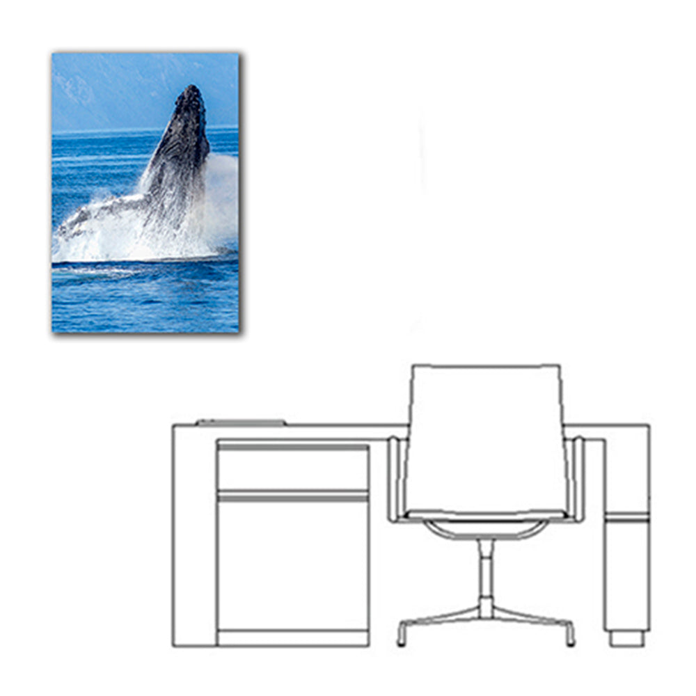Ballena - Imágenes de la Naturaleza en Alta Resolución - Papel Fotográfico Importado – Cuadro con Bastidor Listo para Colgar