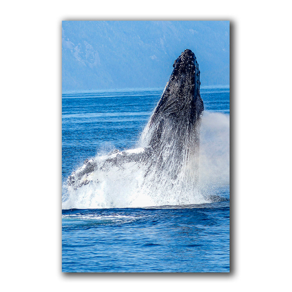Ballena - Imágenes de la Naturaleza en Alta Resolución - Papel Fotográfico Importado – Cuadro con Bastidor Listo para Colgar