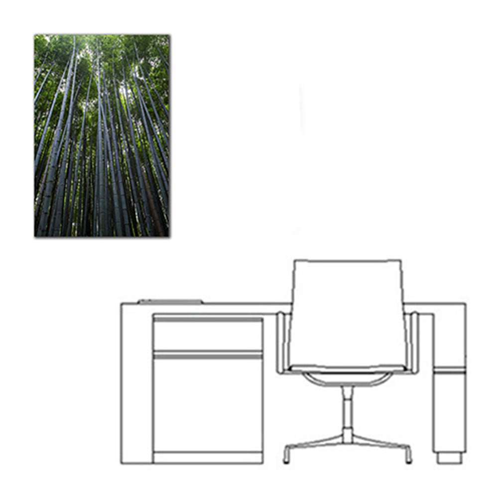 Bambú - Imágenes de la Naturaleza en Alta Resolución - Papel Fotográfico Importado – Cuadro con Bastidor Listo para Colgar