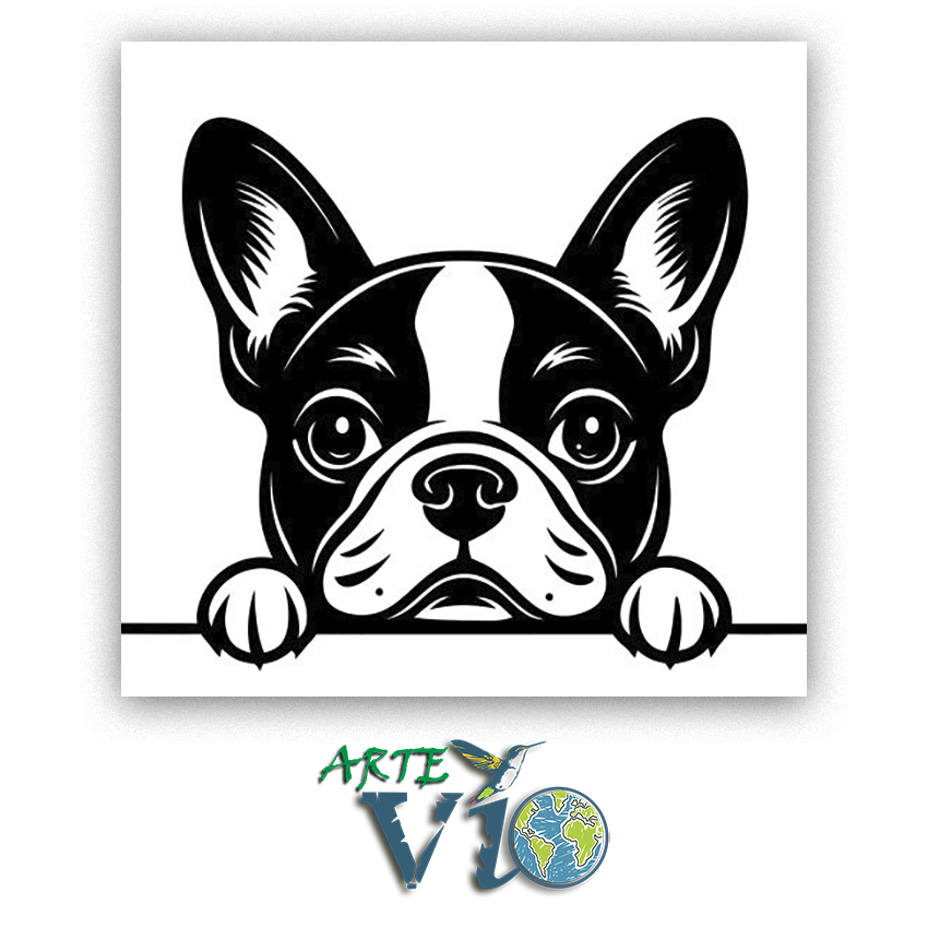 Boston Terrier - Cuadro Enmarcado - Decoración de Pared - Colores y Medidas a Personalizar - 48 x 48 cm.