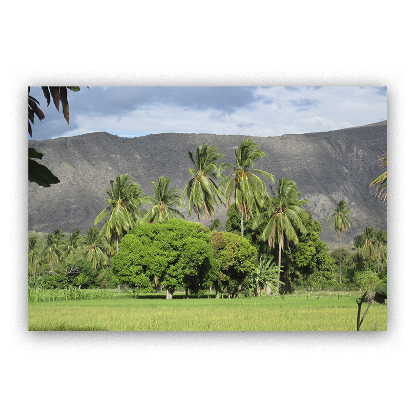 Chamaya - Jaén - Planeta Tierra - Imágenes de la Naturaleza en Alta Resolución - Papel Fotográfico Importado – Cuadro con Bastidor Listo para Colgar