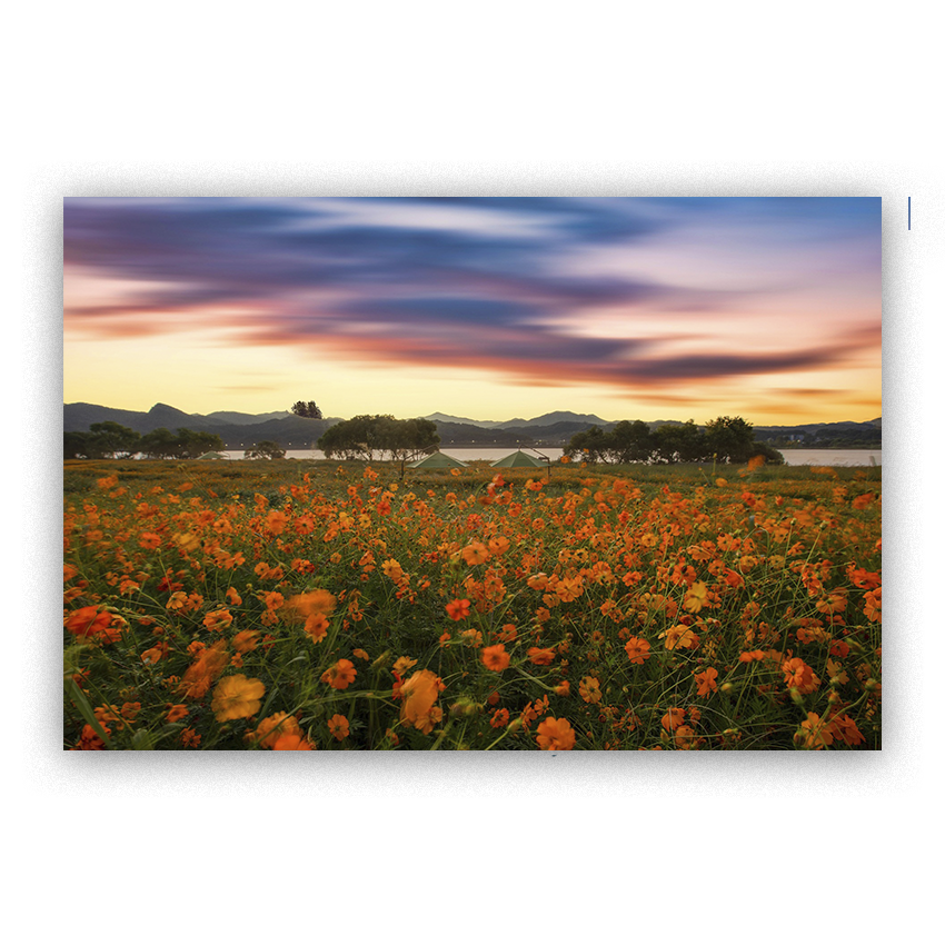 Atardecer Florido - Imágenes de la Naturaleza en Alta Resolución - Papel Fotográfico Importado – Cuadro con Bastidor Listo para Colgar