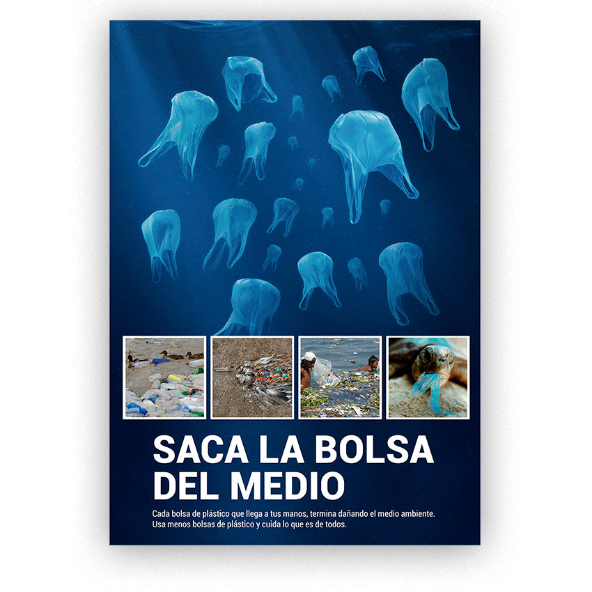 Saca la Bolsa del Medio - Archivo Digital Gratuito - Cartel en Alta Resolución - 42 x 30 cm - Sobre Bastidor de Madera Cultivada